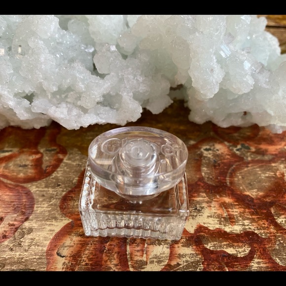 🦋Chloe Mini - Picture 2 of 4